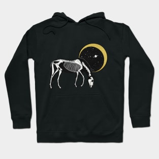 SKELETON HORSE Starry Night Illustrated Design Hoodie